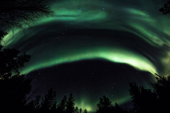 Aurora Photography Tour 3 HOURS - Price and logistics: when $167.74 feels worth it