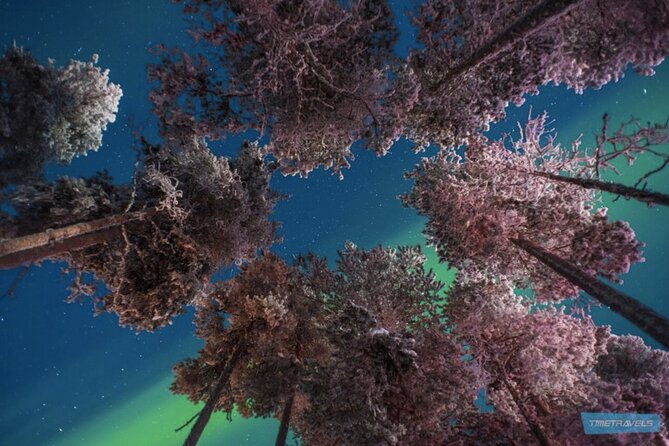 Aurora Photography Tour 3 HOURS - Who this tour suits best