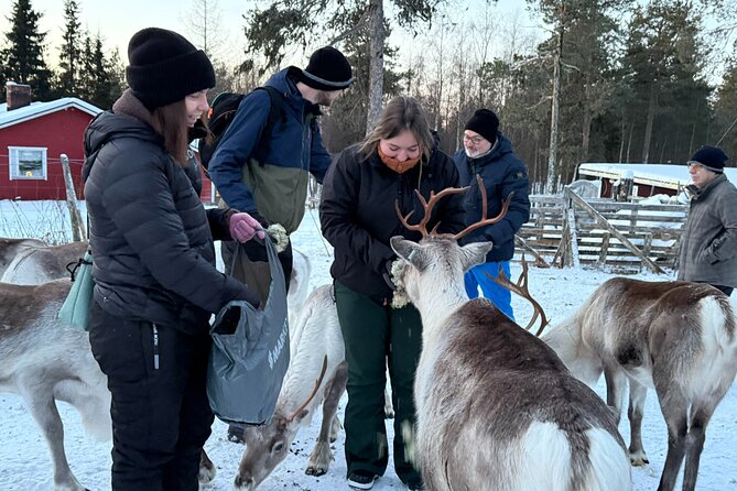 Authentic Reindeer Experience and Ice Fish with Lunch in the Wild - What To Wear And Expect In The Cold