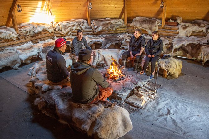 Authentic Reindeer Farm and Canoe Experience from Rovaniemi - Feeding Reindeer Lichen, Up Close Without the Rush