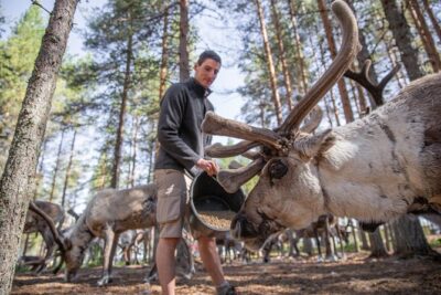 Authentic Reindeer Farm and Canoe Experience from Rovaniemi