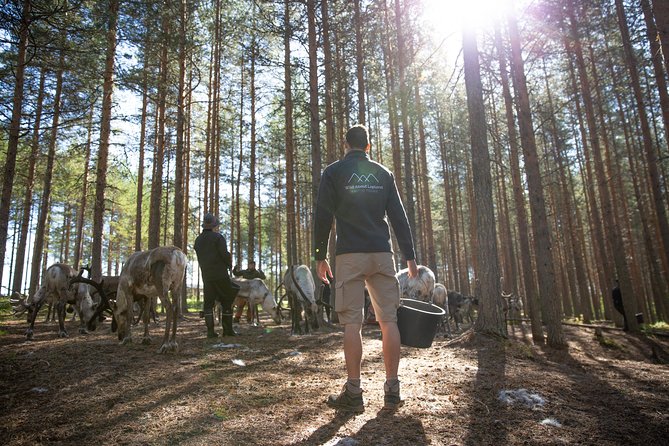 Authentic Reindeer Farm and Canoe Experience from Rovaniemi - Canoe Time on the Lake: Safety First, Then Paddling