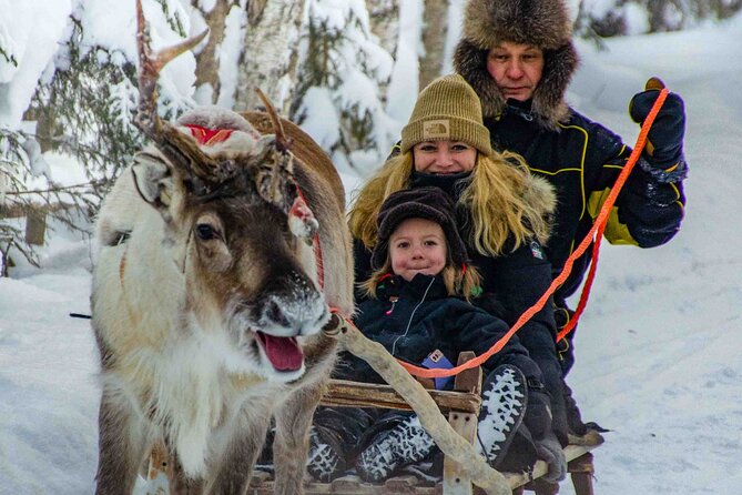 Authentic Reindeer Farm Experience in Rovaniemi - Getting there from Rovaniemi: easy pickup, one clear start point