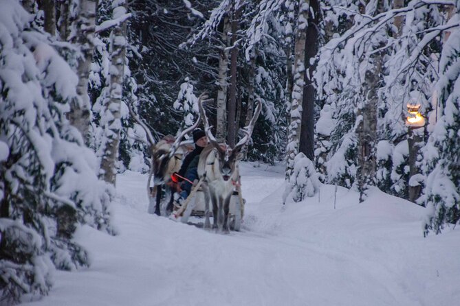 Authentic Reindeer Farm Experience in Rovaniemi - Who this tour suits best, and who should pick another option