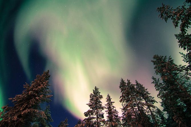 Autumn Aurora Borealis Picnic in Rovaniemi - What You’re Paying For: The $122 Value Breakdown
