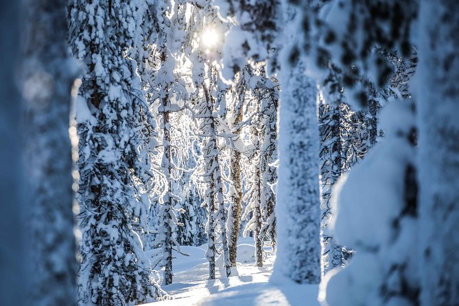 Backcountry skiing adventure - Photographer guide: how you get better photos without extra work