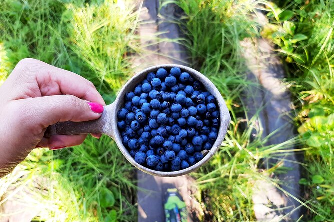 Berry Picking in a National Park - Ride to Liesjärvi: What the 1 Hour 20 Minute Transfer Feels Like