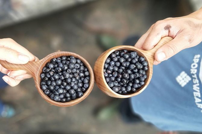 Berry Picking in a National Park - Sustainable and Small-Group: Why This Booking Feels Worth It