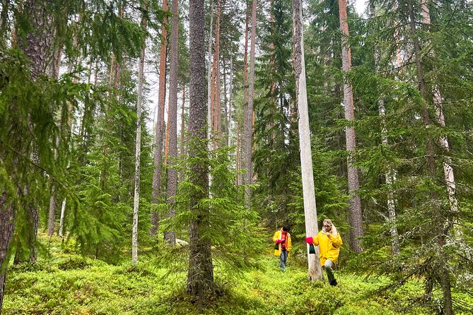 Berry Picking in a National Park - Price and Value: Is $186.64 a Fair Deal?