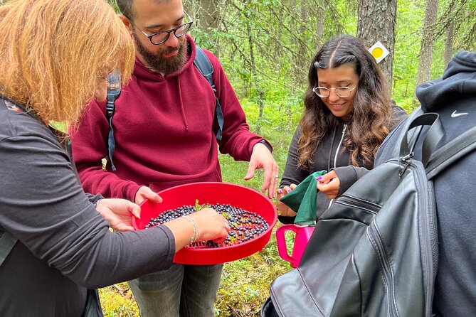 Berry Picking in a National Park - What You’ll Learn (Beyond Just Picking Berries)
