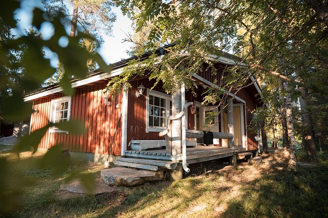 Best Of Lapland: Sauna, Ice swimming, Dinner & Northern Lights - Ice swimming procedure: how to do the cold plunge without spiraling