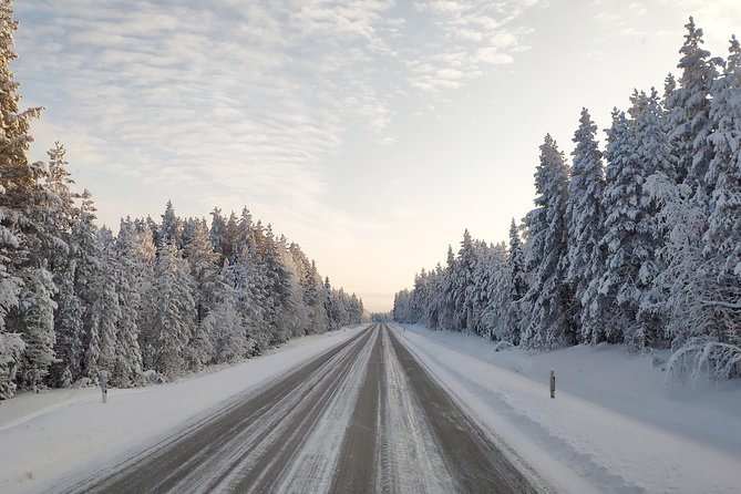 Best Of Lapland: Sauna, Ice swimming, Dinner & Northern Lights - What to bring (and what’s already handled for you)
