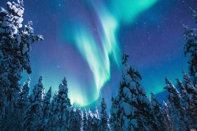 Bus Tour with Hunting Northern Lights - Meeting point and timing: how to avoid the classic winter scramble