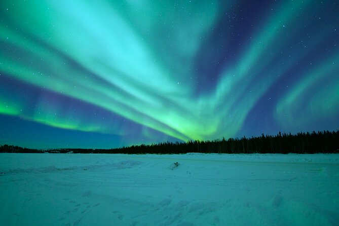 Chasing Aurora with Photographer - Small Group - Guide languages, wheelchair access, and the small-group flow