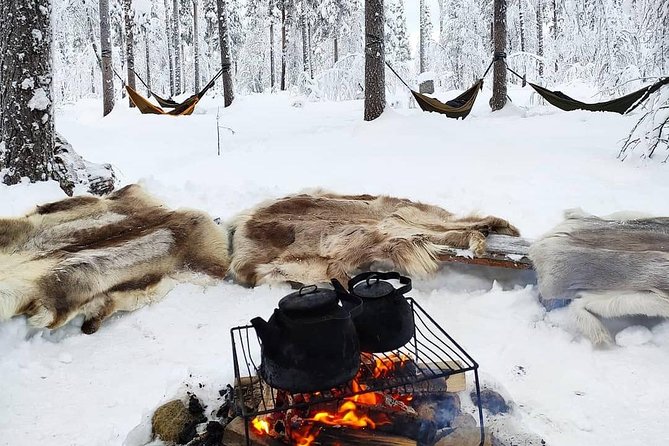 Cocooning in the HaliPuu forest: The ultimate Arctic hammock relaxation - Quick hits before you go