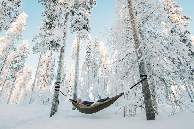 Cocooning in the HaliPuu forest: The ultimate Arctic hammock relaxation - The Veitservasa start: stories in old woodland country
