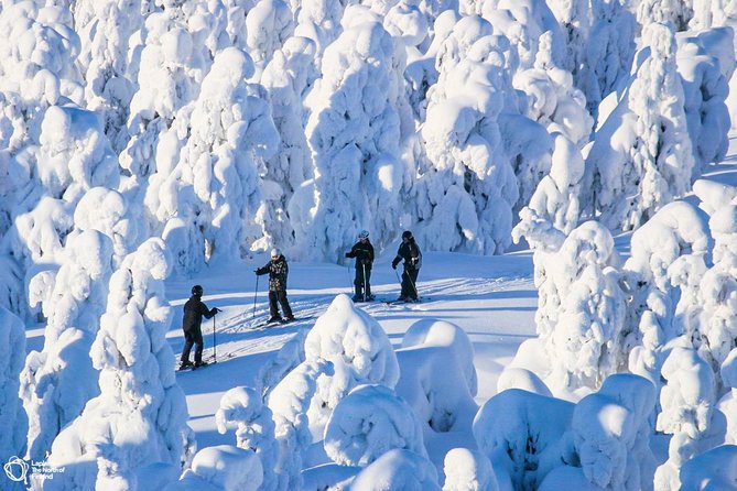 Cross-Country Skiing Trip - Price and value in plain terms