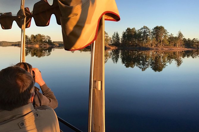 Cruise in Puumala by Lake Saimaa - The Saimaa seal factor: great odds, never a guarantee