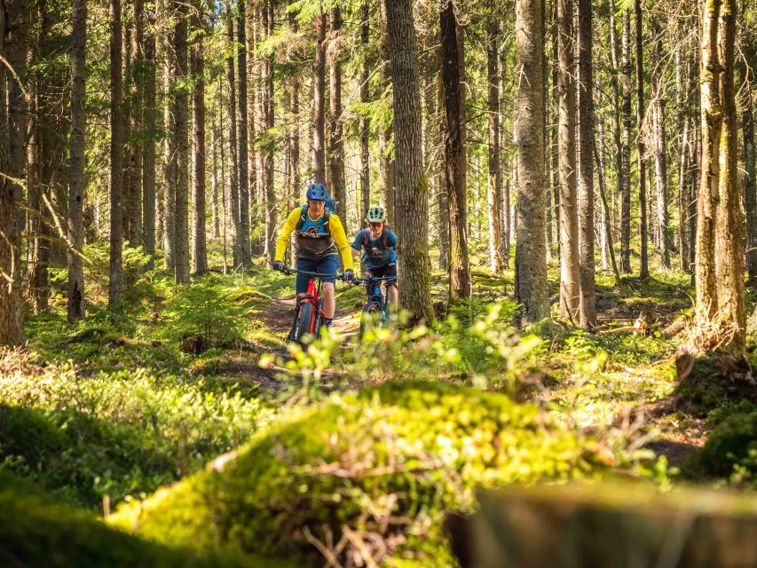 E-FatBike experience in small groups - Key Points You’ll Care About