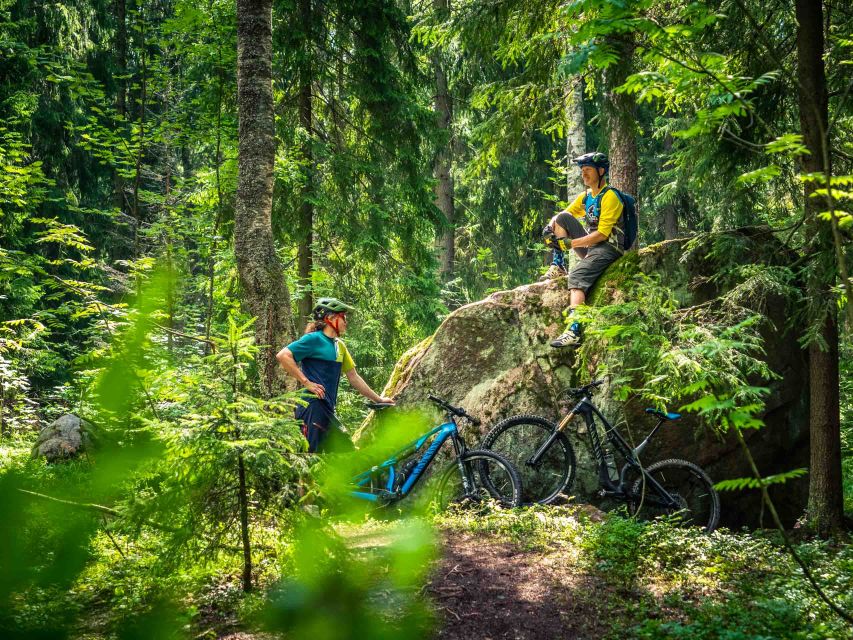 E-FatBike experience in small groups - The Route: Forest Roads, Winter Trails, and a Hill-Top Payoff