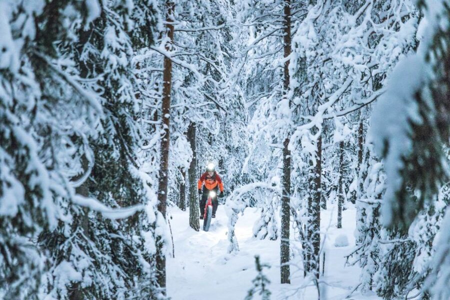 E-FatBike experience in small groups - The Downhill Reality: Curves, Descents, and Staying Safe
