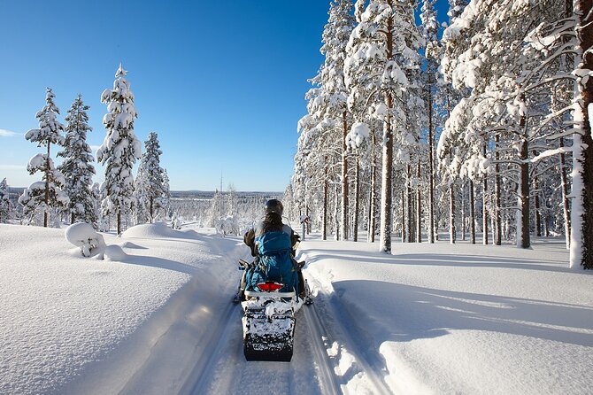 Easy Snowmobile Safari - The 1.5-hour route: from thick frozen water into the forest