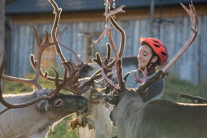 Electric Fatbike Trip to the Reindeer Farm - Electric Fatbikes in Lapland, Why This Trip Feels Easier Than It Looks