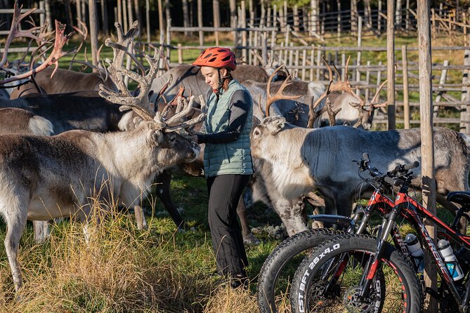 Electric Fatbike Trip to the Reindeer Farm - The Return Ride to Rovaniemi, A Different Route That Keeps It Interesting