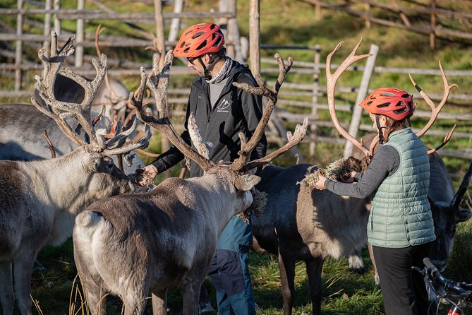 Electric Fatbike Trip to the Reindeer Farm - Practical Tips So You Feel Comfortable From Start to Finish