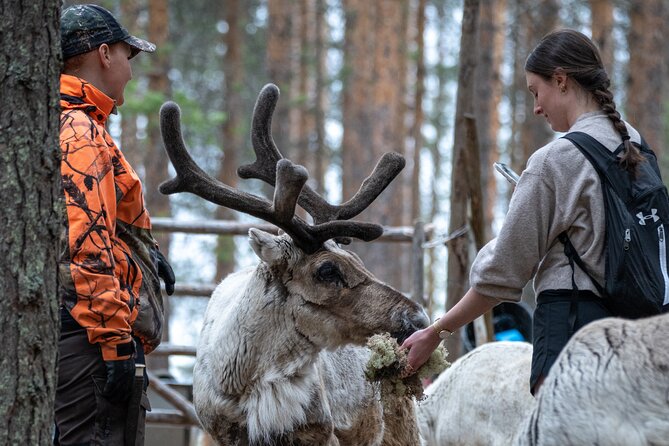 Electric Fatbike Trip to the Reindeer Farm - Nordic Odyssey at 8:30, How the Morning Sets You Up