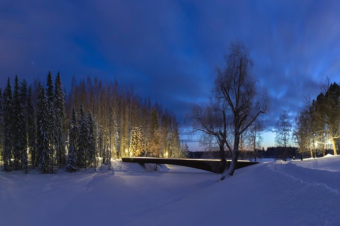 Entry to the amazing Serlachius Museums in the Tampere region - Key highlights worth planning around