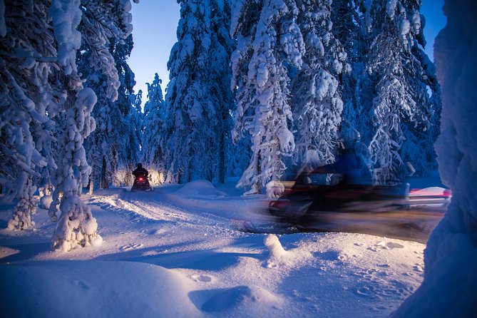 Evening Escape - Snowmobile safari and campfire in Rovaniemi - Guides, Safety, and the Human Touch That Makes It Feel Worthwhile