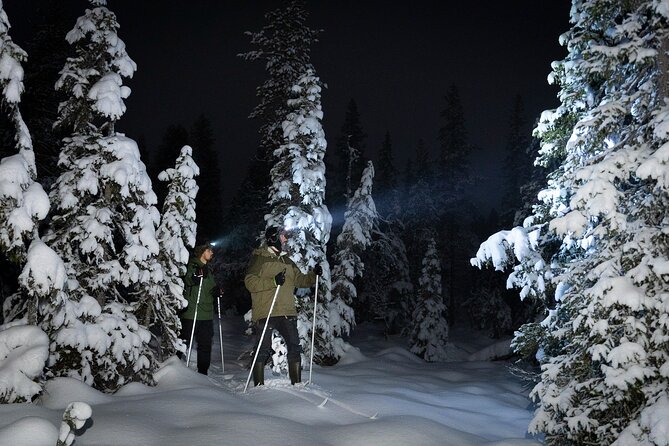 Evening Ski Trek to the Wilderness - Extra Small group - What Makes This Tour Different in the Dark