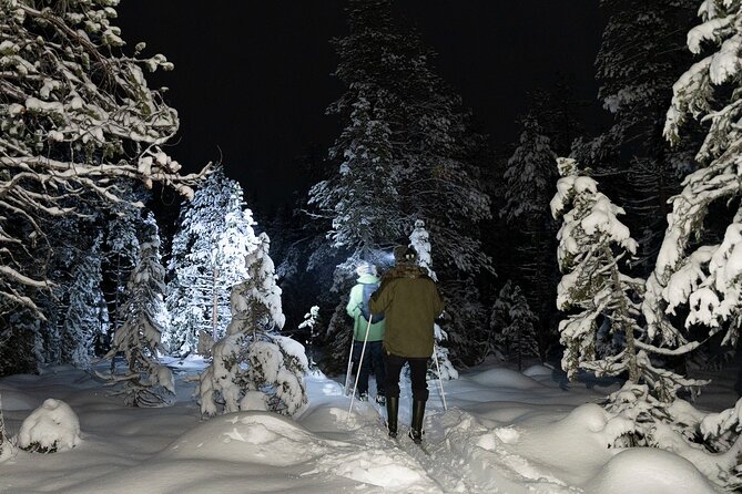 Evening Ski Trek to the Wilderness - Extra Small group - The Real Value of the Small Group: Coaching You Can Actually Use