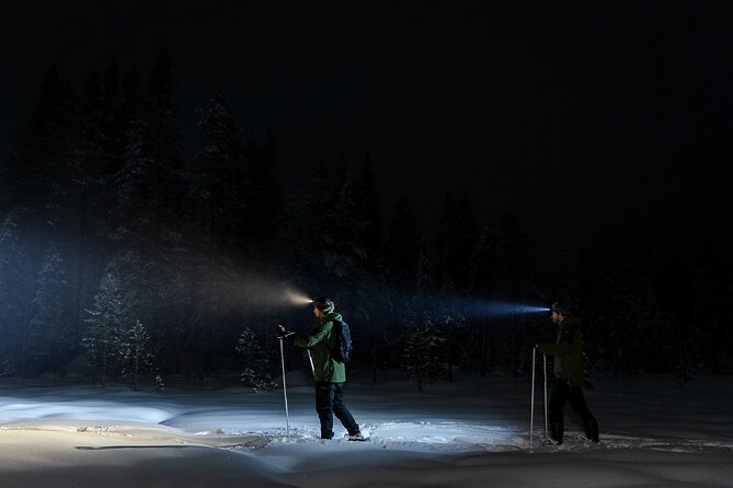 Evening Ski Trek to the Wilderness - Extra Small group - The Kota Stop: Fire, BBQ Snack, Reindeer Skins, and a Warm Break from the Cold