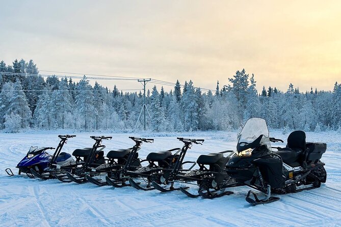 Expedition "INTO THE WILD" Safari and Lunch in Glass Igloo - Into the Wild Safari and Glass Igloo Lunch in Rovaniemi: what the evening is really like