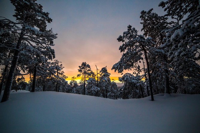 Explore the Wilderness - What the Guide Actually Does for Your Photos