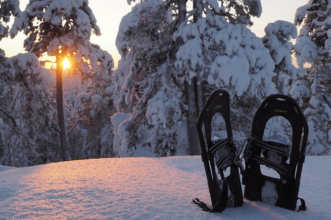 Explore Winter Woods: Snowshoe walk with local Biologist - Winter Woods With a Biologist, Not a Scripted Tour