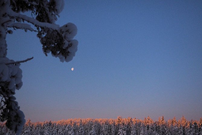 Explore Winter Woods: Snowshoe walk with local Biologist - Snowshoes, Timing, and What 2.5 Hours Really Means