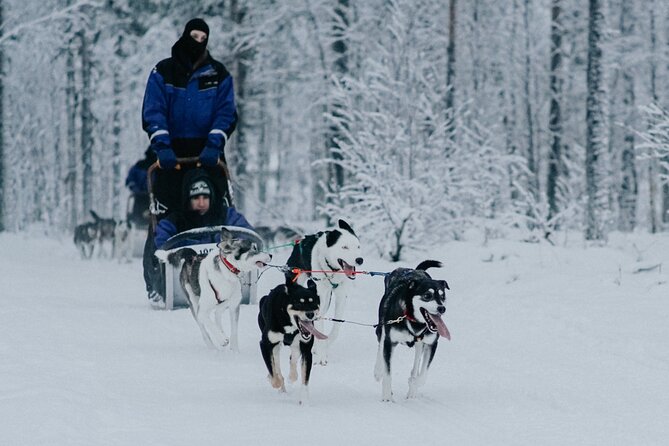Family day: Reindeer, Husky and Snowmobiling in Levi - Mini-snowmobiling for kids plus soup lunch