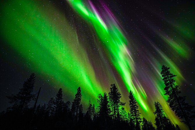 Family-Friendly: Northern Lights Adventure from Rovaniemi - Key Highlights You Should Know Before You Go