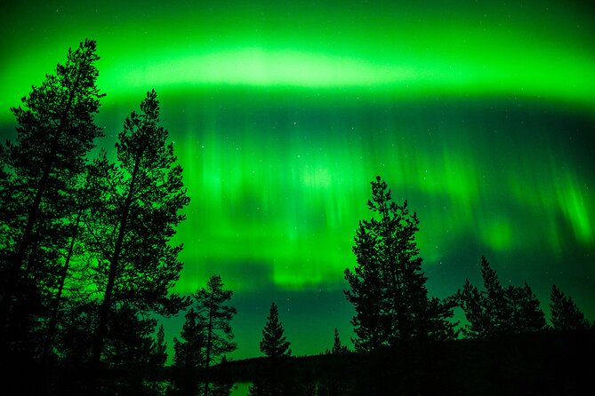 Family-Friendly: Northern Lights Adventure from Rovaniemi - Mid-Tour Tipi Campfire Break: Hot Snacks Beat Cold Waiting