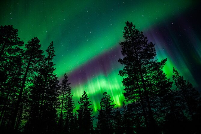 Family-Friendly: Northern Lights Adventure from Rovaniemi - Price and Value: What $126.16 Buys in Lapland