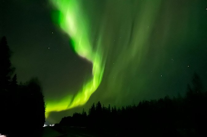 Family Friendly Northern Lights Tour in Rovaniemi - The secret sauce: 1 to 3 dark-sky locations nearby