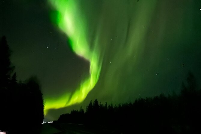 Family Friendly Northern Lights Tour in Rovaniemi - Weather reality: how this affects what you see