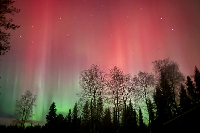 Family Friendly Northern Lights Tour in Rovaniemi - Price and what you actually get for $102.80
