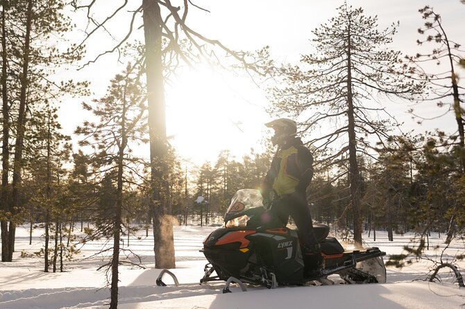 Family Snowmobile Safari in Rovaniemi - Key things to know before you go