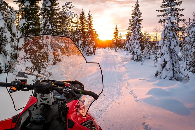Family Snowmobile Safari in Rovaniemi - How the 3-hour family safari in Rovaniemi really works