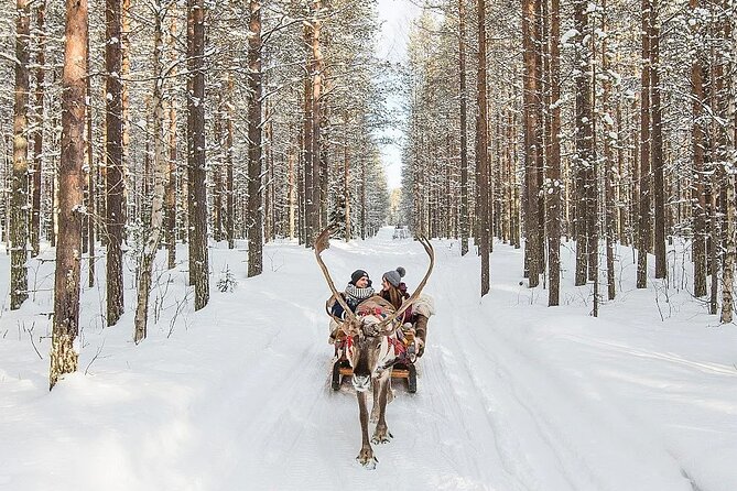 Forest Trail Reindeer Safari - Nordic Unique Travels and the Reindeer Farm Visit That Adds Meaning