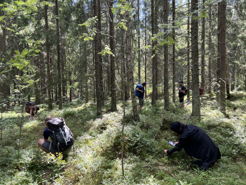 From Helsinki: Hike and Sauna in Sipoonkorpi National Park - Key highlights at a glance